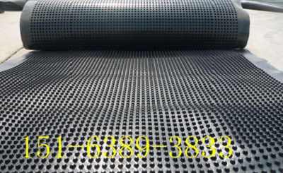 內蒙古PVC網狀排水板廠家現貨充足，助力西藏防水材料市場發展